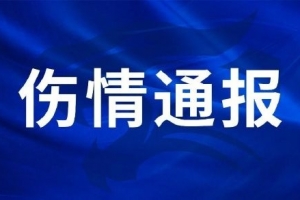 极速世界杯突尼斯对决日本全场录像_极速世界杯突尼斯对决日本全场录像在线观看_免费看直播