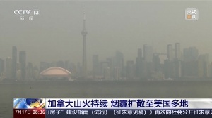 最新世界杯小组赛加掌大对决卡塔尔jrs直播_最新世界杯小组赛加掌大对决卡塔尔jrs直播在线观看_免费看直播